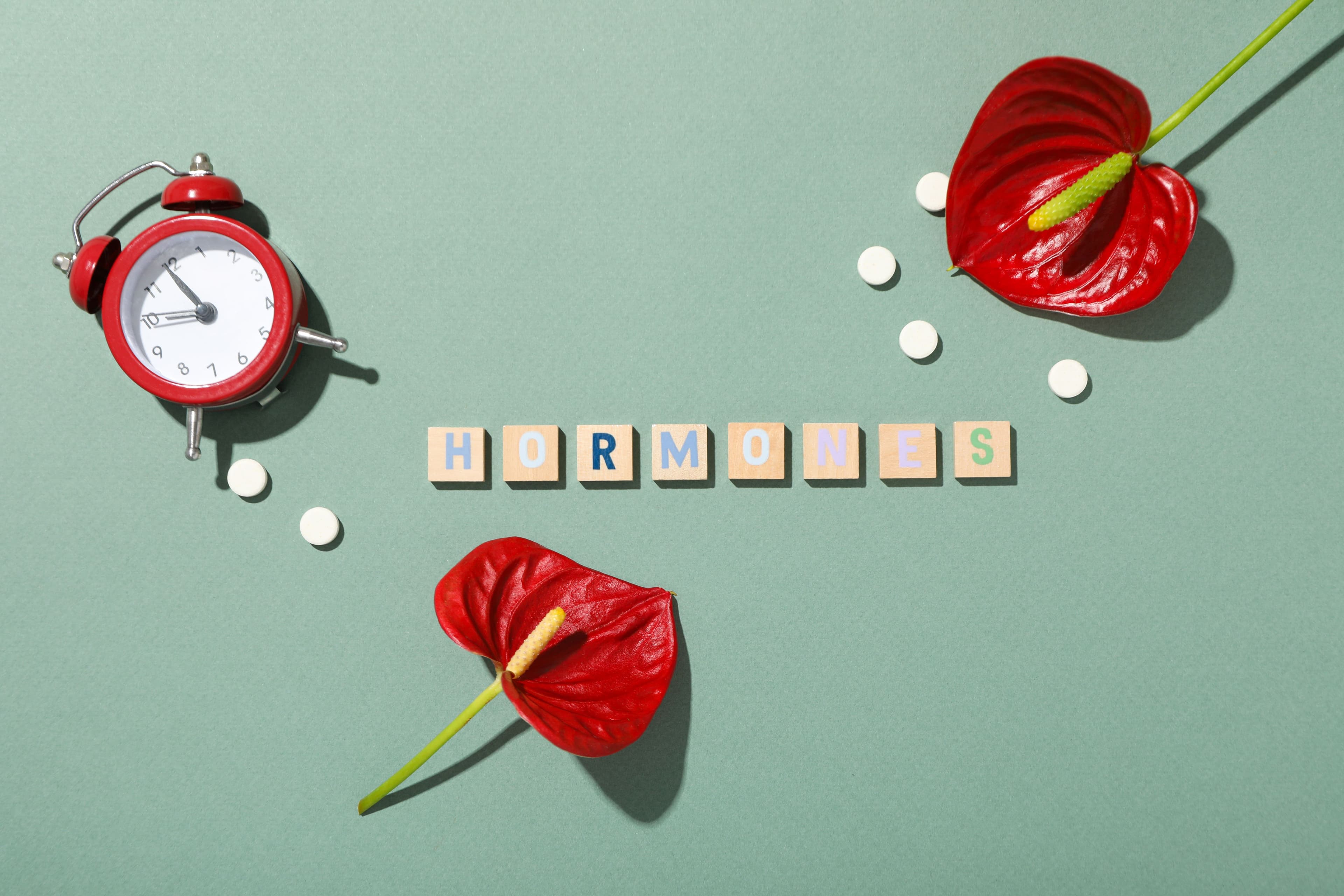 Clock, red flowers, and pills symbolize hormonal balance and progesterone regulation for women’s health.
